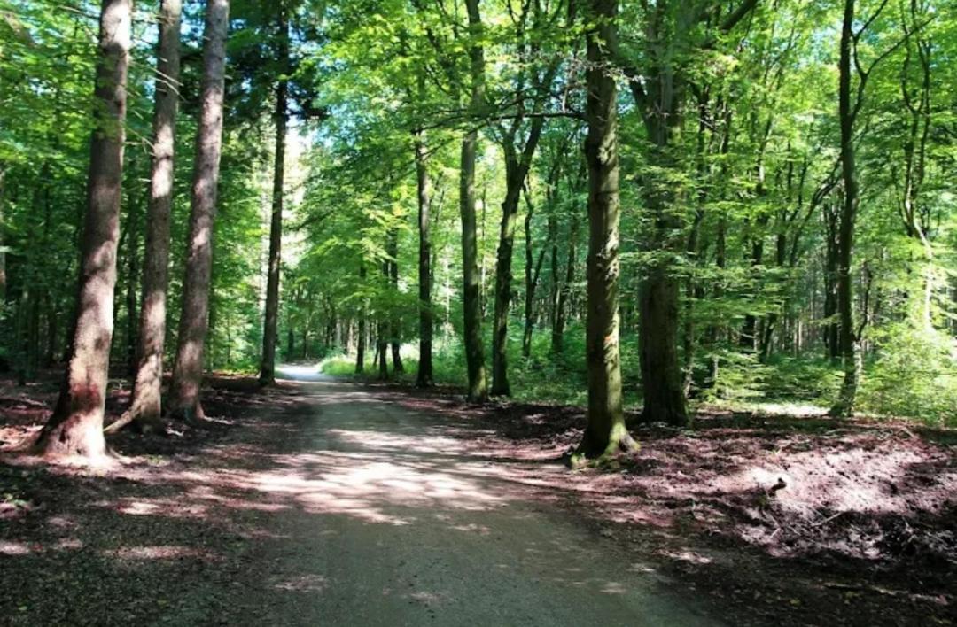 Chalet Harmony Prive Wellness Putten Exteriör bild